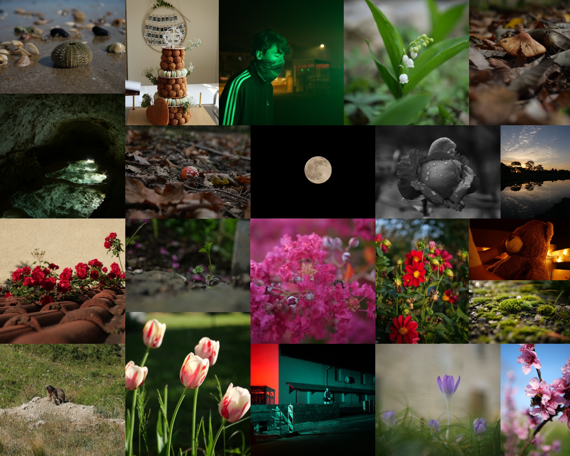 photographies